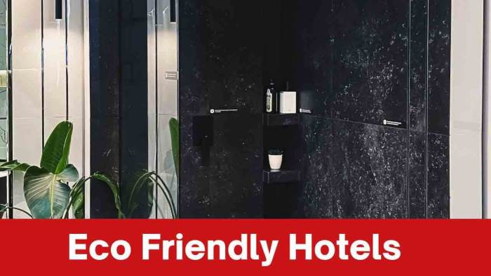Eco Friendly Hotel Chains