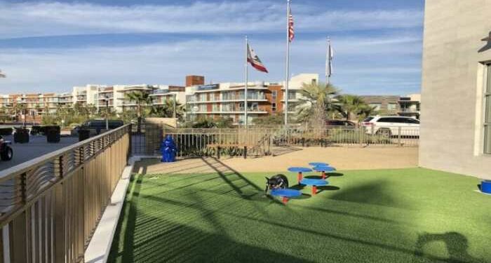 Pet Friendly Hotels In California
