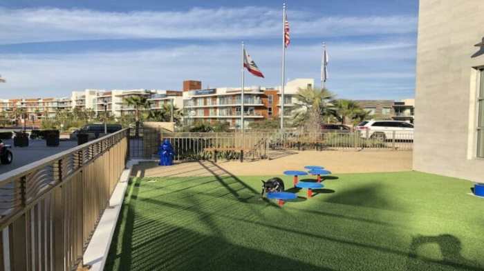 Pet Friendly Hotels In California