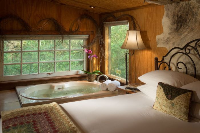 Hotel With Jacuzzi In Room