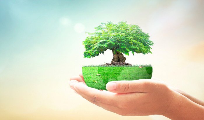 How Valuable Loyalty Programs Are to the Hotel Industry Hotel Loyalty Programs