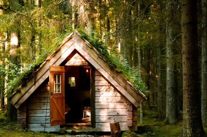 Eco Friendly Hotel Chains
