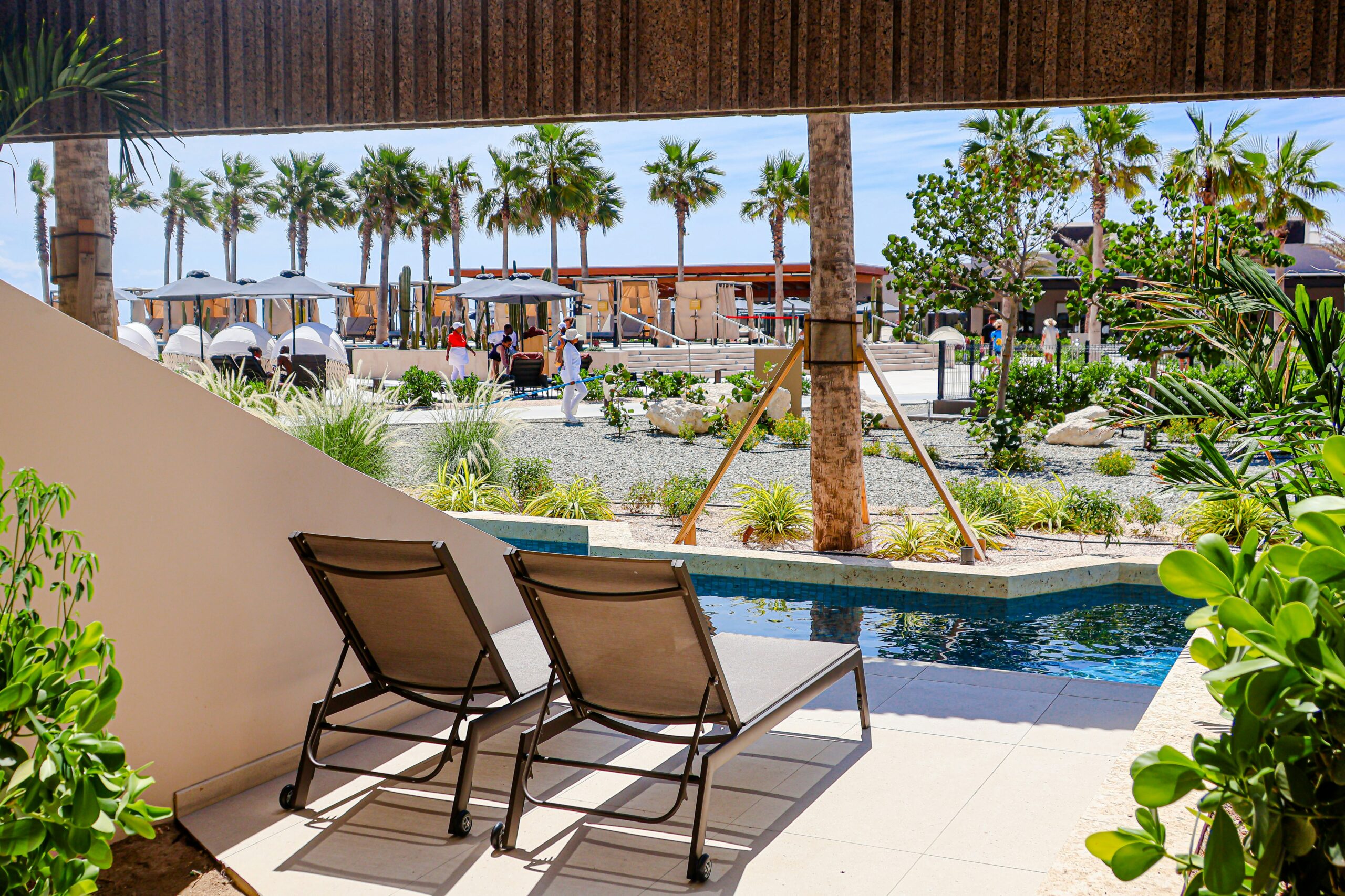 The Future of Living: Holistic Longevity Programs